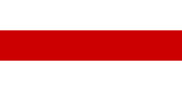 1991年～1995年のベラルーシ国旗
